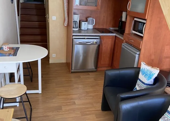 4 Pers Avec Terrasse Et Accès - Fr-1-843-3 *